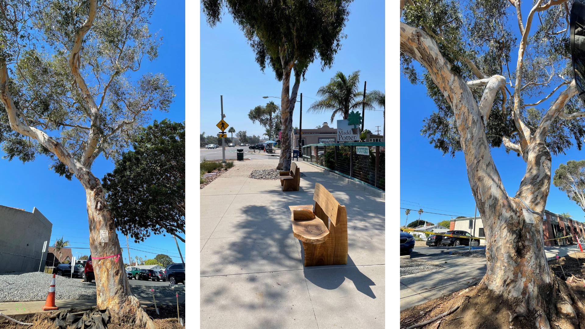 collage of trees and benches