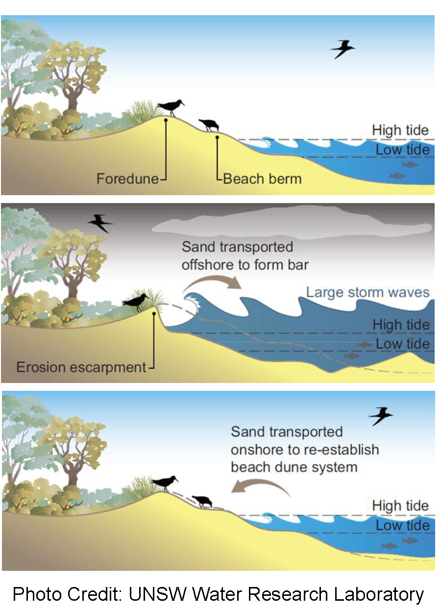 Graphic showing sand replenishment on coastal zone